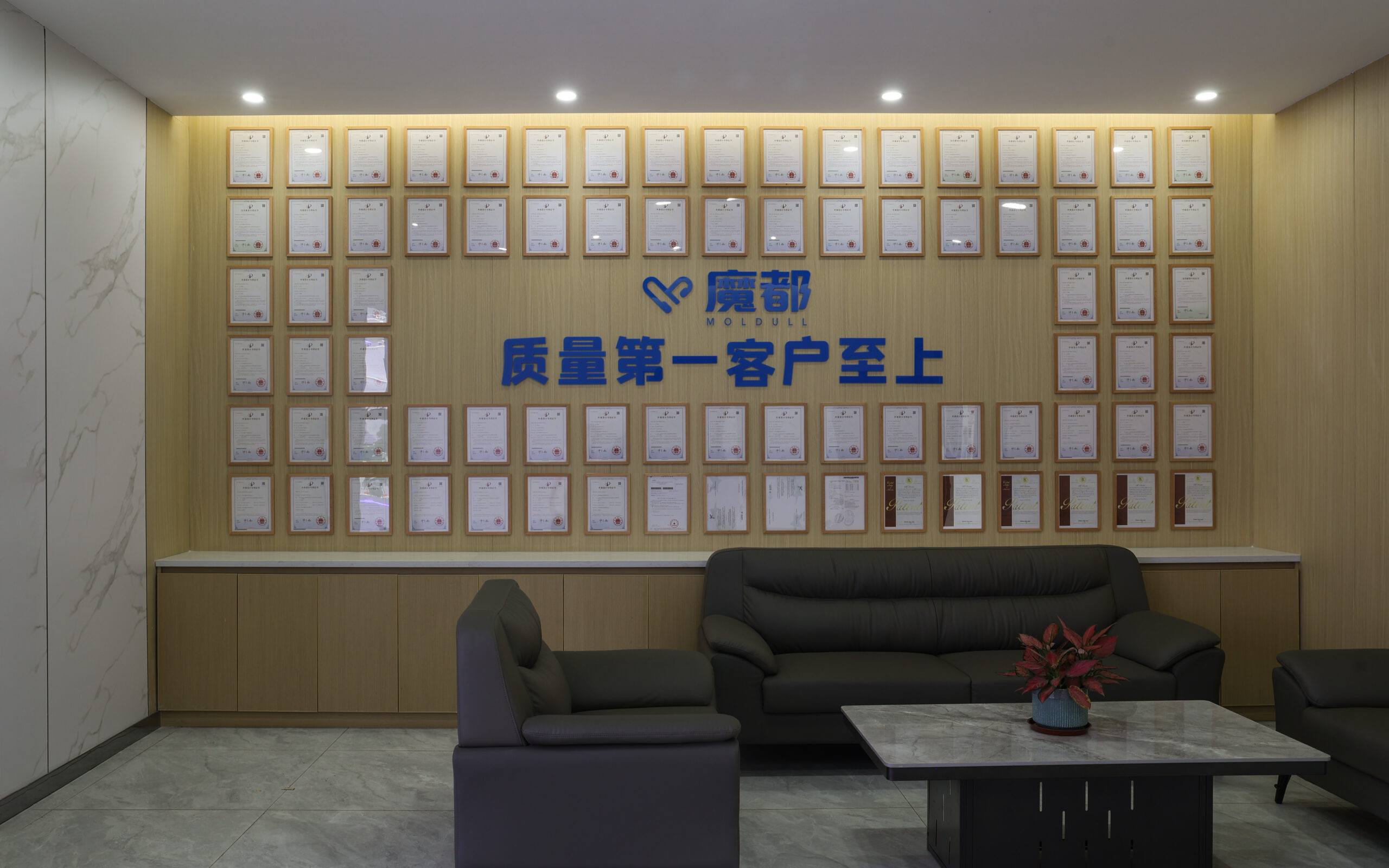 Electronic Manufacturing Facility